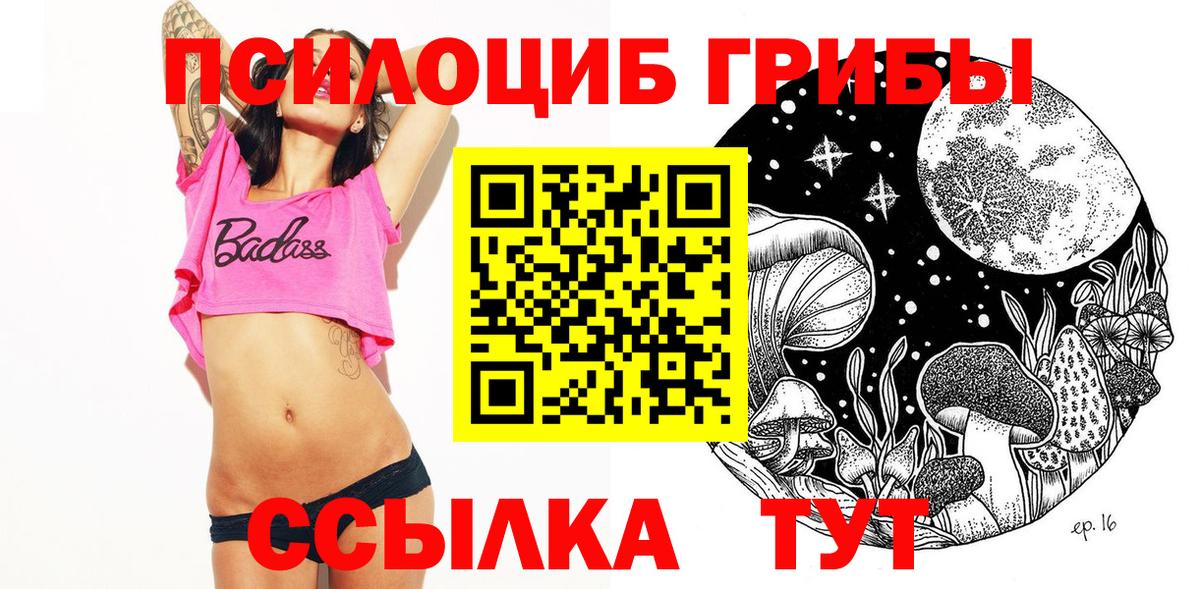 Псилоцибиновые грибы прущие грибы Верхний Уфалей